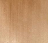 Liquidambar styraciflua