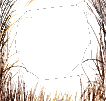 toile d'araignée étape 1 toile d'araignée étape 1