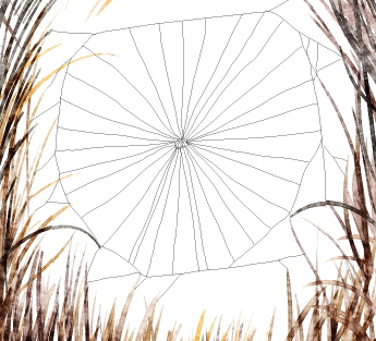 toile d'araignée étape 2 toile d'araignée étape 2