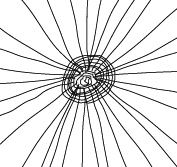 toile d'araignée étape 3 toile d'araignée étape 3