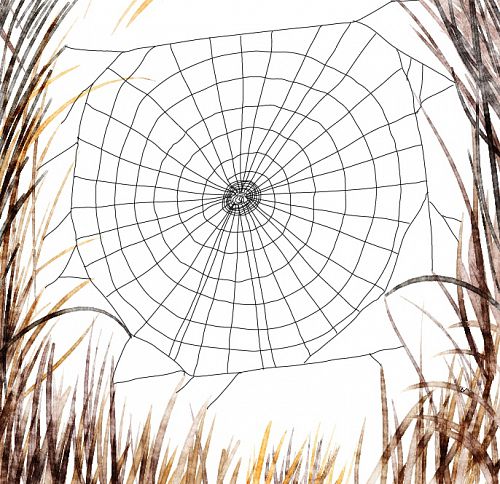 toile d'araignée étape 4 toile d'araignée étape 4