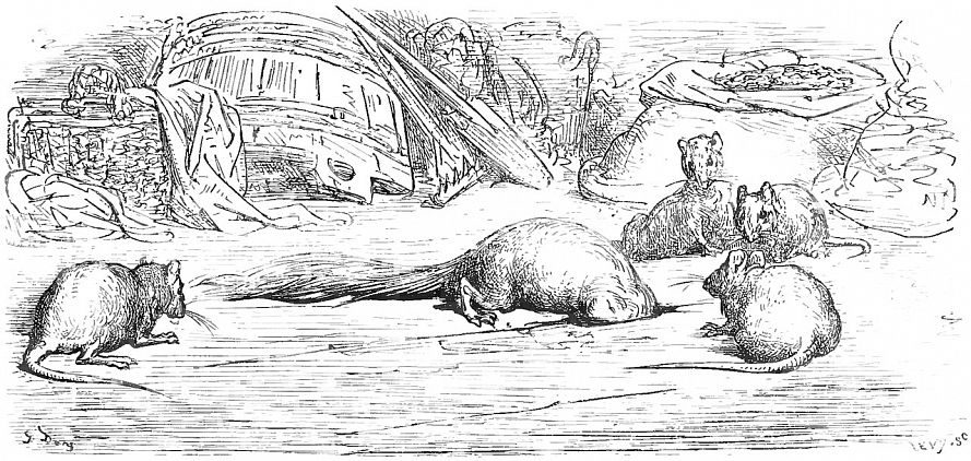 La belette entrée dans un grenier La belette entrée dans un grenier